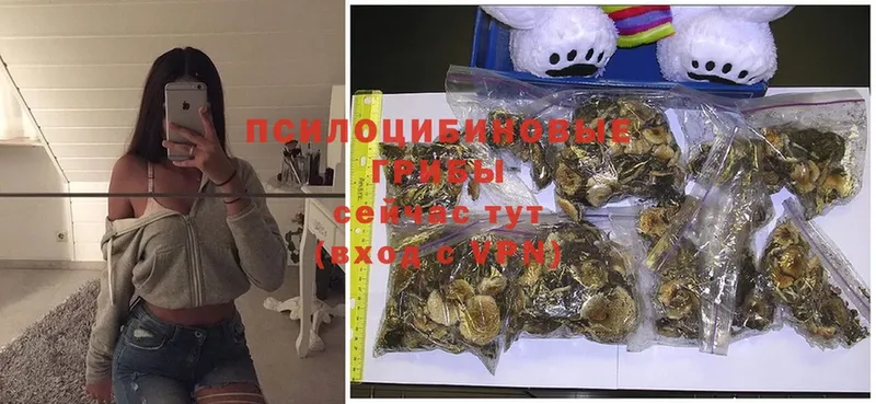 Галлюциногенные грибы Magic Shrooms  Родники 